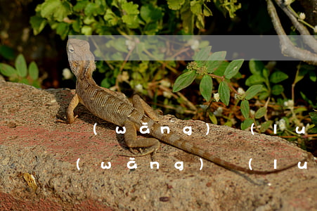 網(wǎng)絡(luò)貸只還本金 網(wǎng)絡(luò)貸款只還本金不還利息