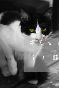 網(wǎng)絡(luò)貸款沒(méi)錢還怎么辦(網(wǎng)絡(luò)貸款沒(méi)有錢還怎么辦)