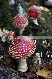 網(wǎng)絡(luò)貸款逾期不還上征信會怎么樣-網(wǎng)絡(luò)貸款逾期不還上征信會怎么樣嗎