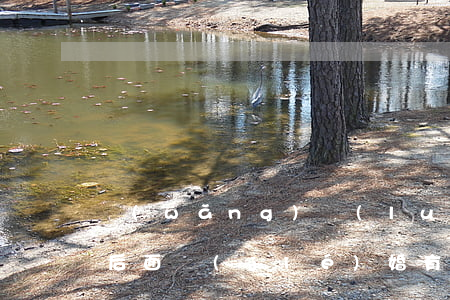 網(wǎng)絡(luò)貸款逾期不還后面結(jié)婚有影響-網(wǎng)絡(luò)貸款逾期不還后面結(jié)婚有影響嗎