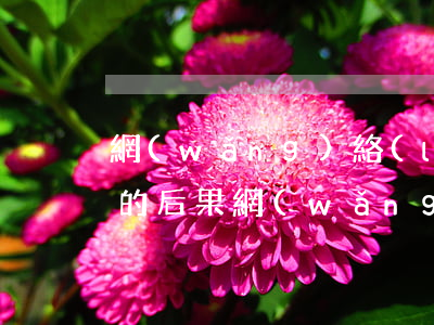 網(wǎng)絡(luò)貸款逾期不還的后果(網(wǎng)貸借款沒有逾期過有影響)