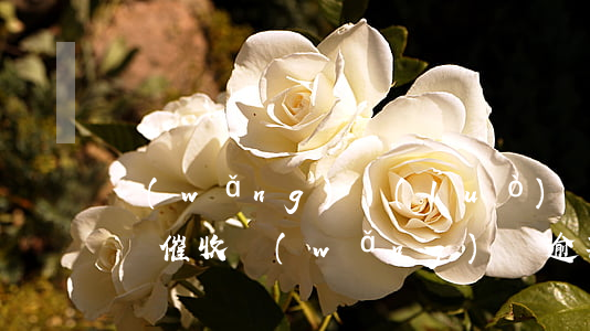 網(wǎng)絡(luò)貸款逾期多久會催收(網(wǎng)貸逾期好幾年了還在催收)