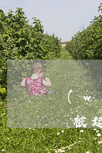 網(wǎng)絡(luò)貸款逾期多少會被起訴(網(wǎng)貸逾期達(dá)到多少會被起訴)