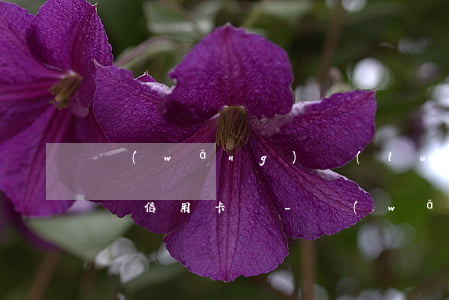網(wǎng)絡(luò)貸款逾期影響辦信用卡嗎-網(wǎng)絡(luò)貸款逾期影響辦信用卡嗎