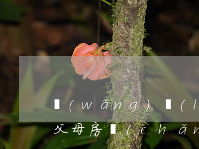 網(wǎng)絡(luò)貸款逾期拍賣父母房產(chǎn)(網(wǎng)絡(luò)貸款逾期拍賣父母房產(chǎn)怎么辦)
