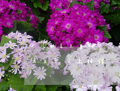 網(wǎng)絡(luò)貸款逾期會(huì)上征信(網(wǎng)絡(luò)貸款逾期會(huì)上征信)