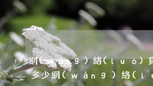 網(wǎng)絡(luò)貸款逾期罰款多少(網(wǎng)絡(luò)貸款逾期多久會(huì)追究法律責(zé)任?)