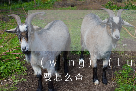 網(wǎng)絡(luò)貸款逾期被起訴要怎么查