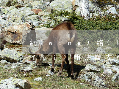 網(wǎng)絡(luò)貸款逾期費(fèi)用法院支持嗎-借款平臺逾期費(fèi)用法院支持嗎
