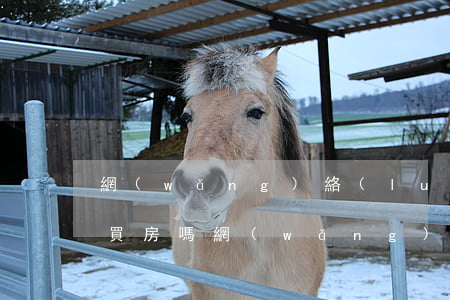 網(wǎng)絡(luò)貸款逾期還能買房嗎(網(wǎng)貸逾期還可以買房嗎)