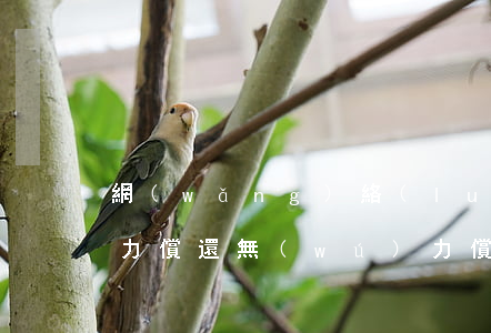 網(wǎng)絡(luò)貸無(wú)力償還 無(wú)力償還網(wǎng)絡(luò)貸款要坐牢嗎
