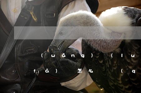 網(wǎng)絡(luò)賣家虛假發(fā)貨怎么維權(quán)