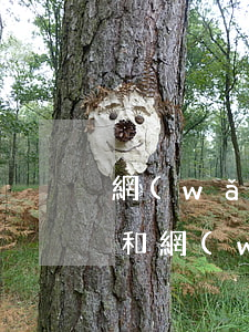 網(wǎng)絡(luò)賭博欠信用卡和網(wǎng)貸40萬