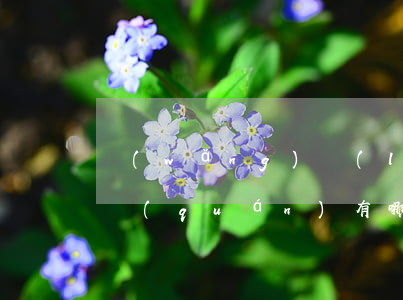 網(wǎng)絡(luò)購物的法律維權(quán)有哪些
