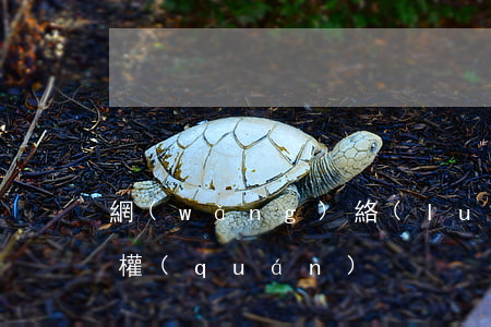 網(wǎng)絡(luò)購物該如何維權(quán)
