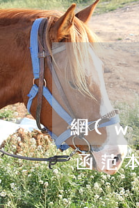 網(wǎng)絡(luò)造謠誹謗律師函范本(起訴他人誹謗的律師函)