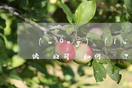 網(wǎng)絡(luò)銷售貨物丟失，快遞公司該如何賠償？
