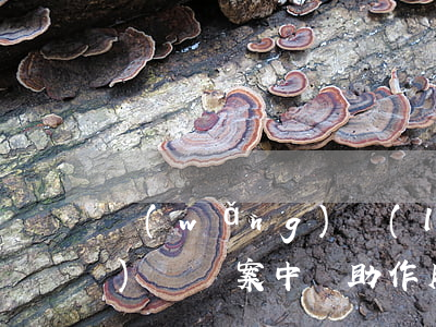 網(wǎng)絡(luò)開設(shè)賭場案中輔助作用的要請律師嗎?(網(wǎng)上開設(shè)賭場罪有必要請律師嗎)