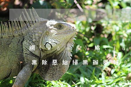 網(wǎng)絡(luò)高利貸屬于掃黑除惡(給掃黑辦舉報(bào)高利貸有用嗎)