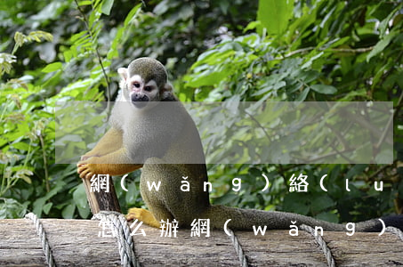 網(wǎng)絡(luò)高利貸還不上怎么辦(網(wǎng)上的高利貸不還會怎樣)