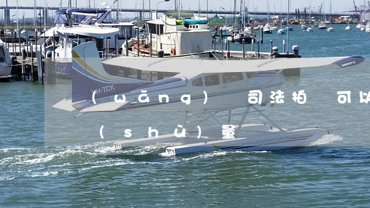 網(wǎng)絡司法拍賣可以限制競買人數(shù)量嗎