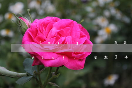 網(wǎng)絡貸款逾期多久會變成(網(wǎng)貸逾期了半年的后果)