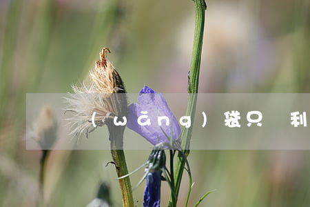 網(wǎng)袋只還利息不還本金