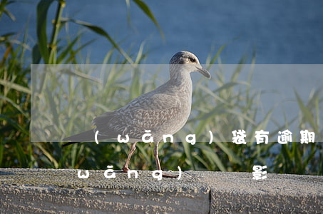 網(wǎng)袋有逾期能辦信用卡嗎(網(wǎng)貸會影響辦信用卡嗎)