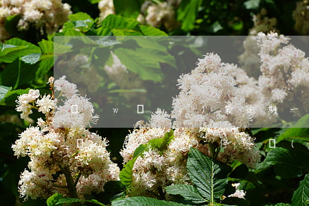 網(wǎng)袋逾期一年為什么信用卡不會(huì)停-網(wǎng)袋逾期一年為什么信用卡不會(huì)停用