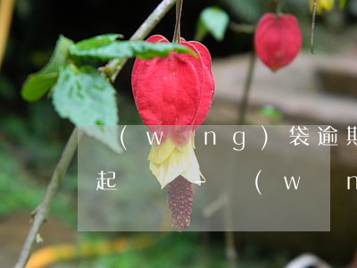 網(wǎng)袋逾期不還會(huì)被起訴嗎-網(wǎng)貸只要不逾期就不會(huì)有影響吧