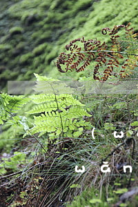 網(wǎng)袋逾期寄律師函怎么辦(網(wǎng)貸逾期律師事務(wù)所發(fā)來律師函)
