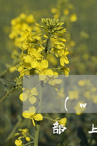 網(wǎng)袋逾期會(huì)有司法部門上門取證嗎-網(wǎng)袋逾期會(huì)有司法部門上門取證嗎是真的嗎