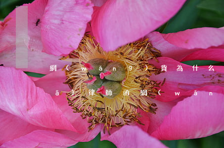 網(wǎng)貨為什么逾期五年才發(fā)律師函(網(wǎng)貨為什么逾期五年才發(fā)律師函)