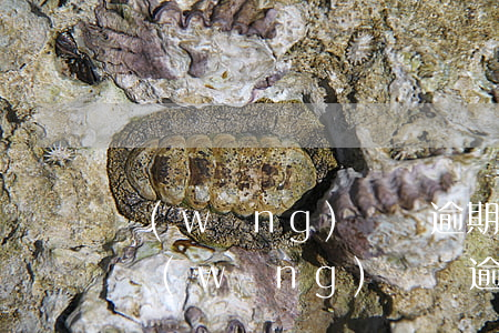 網(wǎng)貨貸逾期怎么辦理信用卡-網(wǎng)貨貸逾期怎么辦理信用卡業(yè)務(wù)