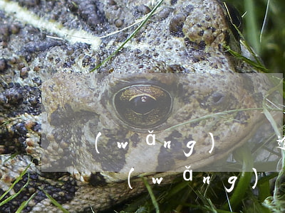 網(wǎng)貨貸逾期會(huì)起訴嗎(網(wǎng)貨貸逾期會(huì)起訴嗎是真的嗎)