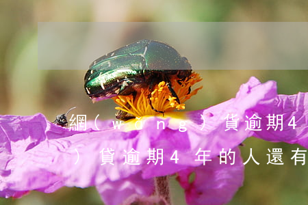 網(wǎng)貨逾期4年了(網(wǎng)貸逾期4年的人,還有未來(lái)嗎)
