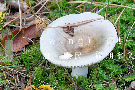 網(wǎng)貨逾期一天惠民貸如何恢復額度-惠民貸逾期多久上征信