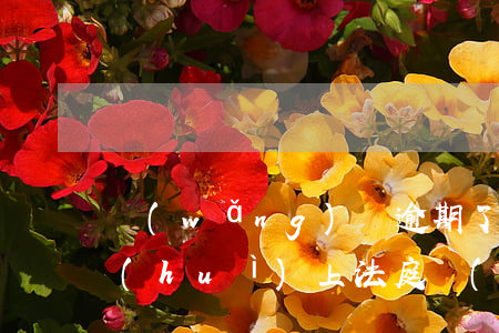 網(wǎng)貨逾期了會(huì)不會(huì)上法庭(網(wǎng)貸逾期多少長(zhǎng)時(shí)間起訴)