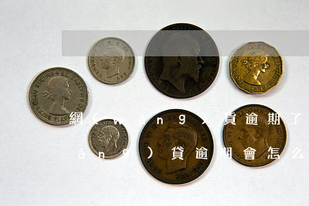 網(wǎng)貨逾期了還不上咋辦(網(wǎng)貸逾期會怎么樣呢)