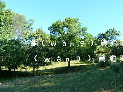 網(wǎng)貨逾期征信影響信用卡-網(wǎng)貸逾期影響信用卡嗎