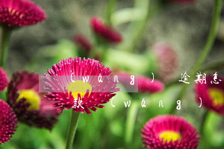 網(wǎng)貨逾期怎樣協(xié)商還款(網(wǎng)貨逾期怎樣協(xié)商還款)