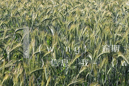 網(wǎng)貨逾期銀行為什么總發(fā)信息給我-網(wǎng)貨逾期銀行為什么總發(fā)信息給我呢