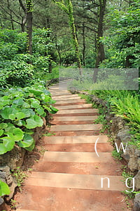 網(wǎng)貸1000欠100(網(wǎng)貸欠款2000)