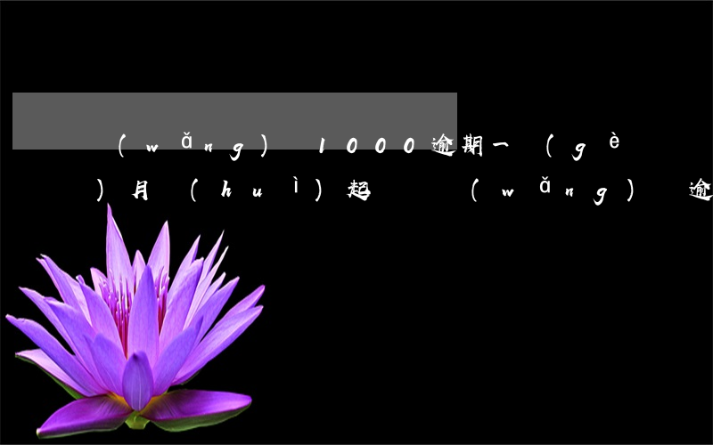 網(wǎng)貸1000逾期一個(gè)月會(huì)起訴嗎(網(wǎng)貸逾期1萬(wàn)多會(huì)起訴啊)
