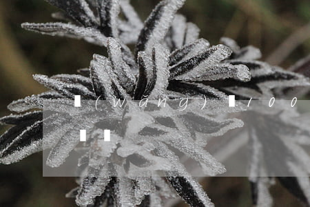 網(wǎng)貸1000逾期三年會被起訴嗎