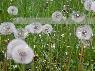 網(wǎng)貸1000逾期未還(欠了2000網(wǎng)貸逾期了會(huì)怎么樣)