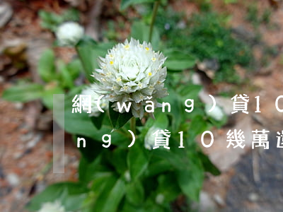 網(wǎng)貸10幾萬還不起(網(wǎng)貸10幾萬還不起怎么辦)