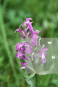 網(wǎng)貸11萬(wàn)逾期會(huì)怎樣(網(wǎng)貸逾期10天)