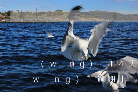 網(wǎng)貸14天的期限逾期了(網(wǎng)貸逾期十幾天會怎么樣)
