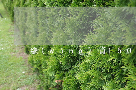 網(wǎng)貸1500有不還的嗎